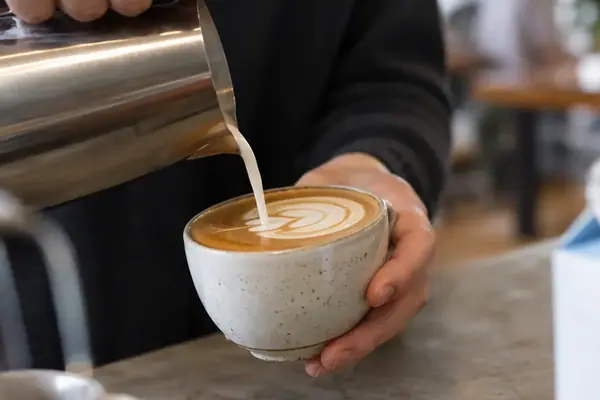 The Complete Home Café Milk Guide